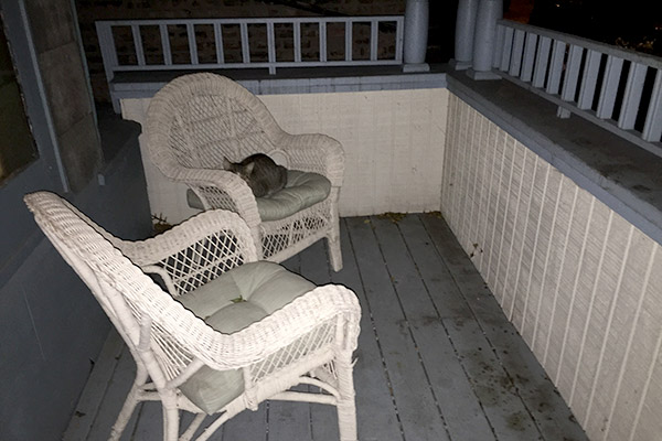 porchguest
