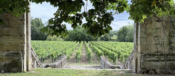 Bordeaux, Day 1: Travel and Arrival at Château de Lescours