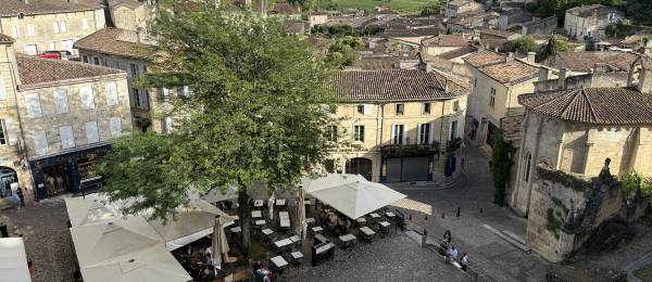 Bordeaux, Day 2: Lazy Morning, Wine Tasting in Saint-Émilion, Unexpected Peacocks, Dinner in Libourne